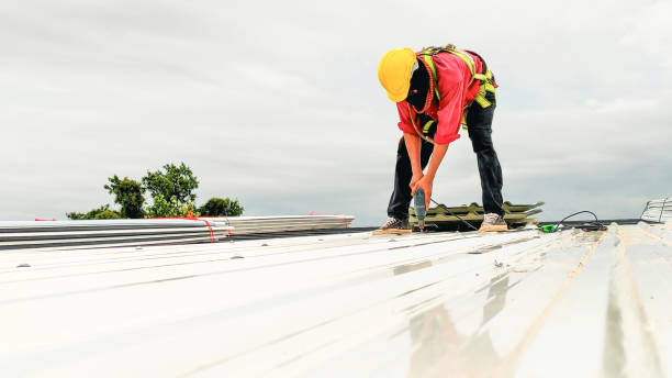 Best Emergency Roof Repair Services  in Circleville, OH