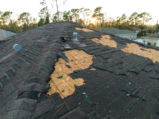 Best Steel Roofing  in Circleville, OH