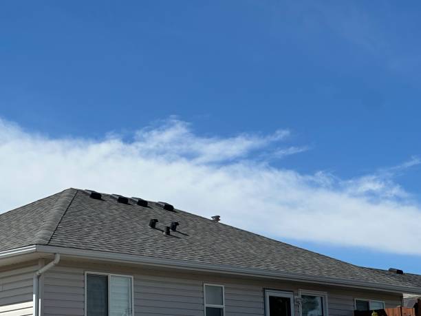 Best Roof Coating and Sealing  in Circleville, OH